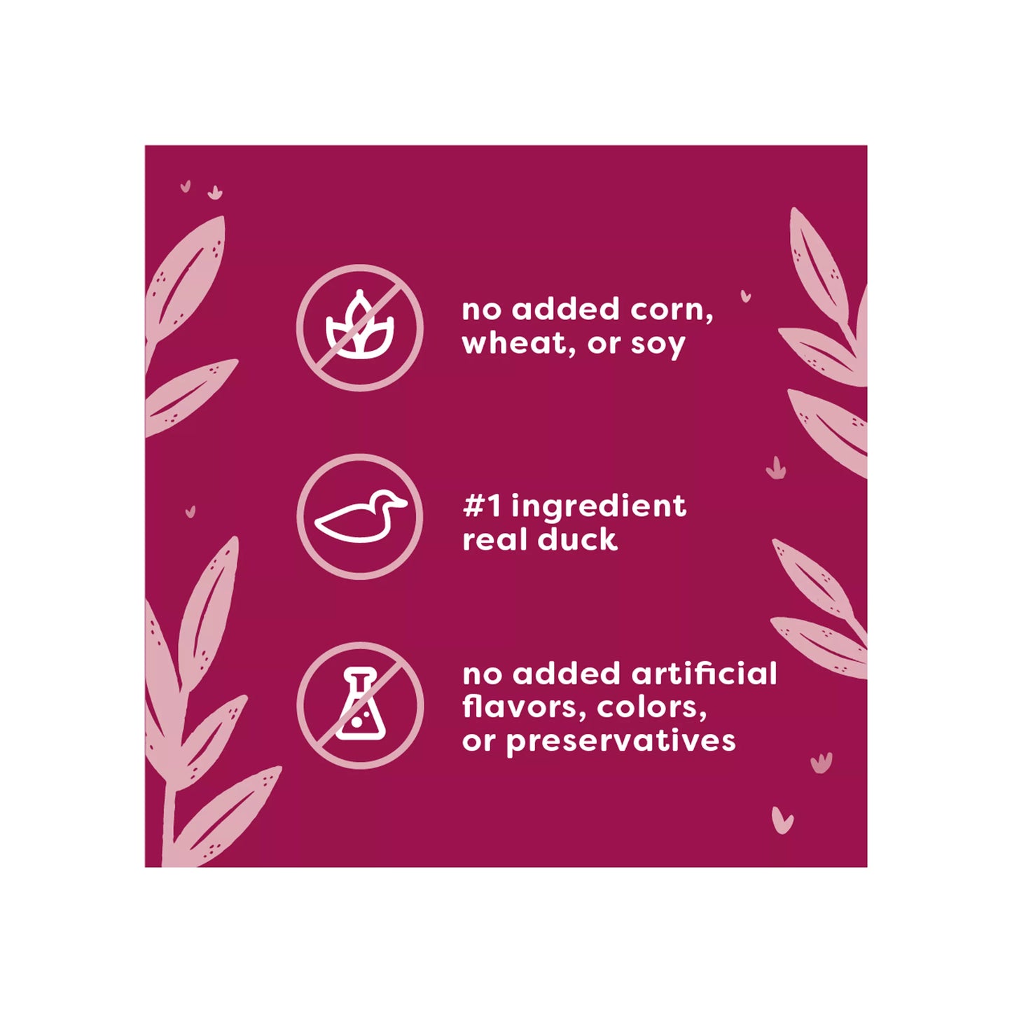 Viva La Kitty Paté - Pato