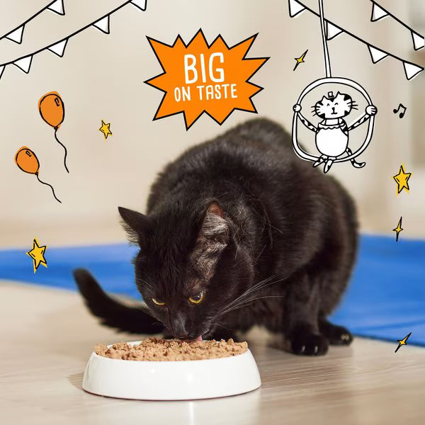 Tiny Tiger Paté - Ocean Whitefish & Tuna