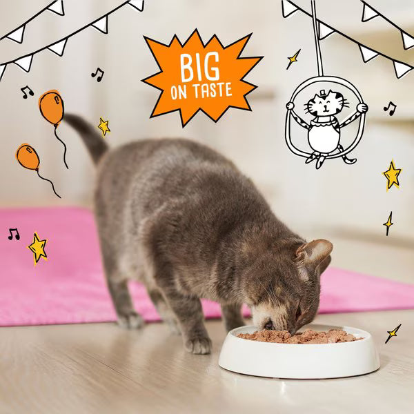 Tiny Tiger Paté - Salmon Dinner