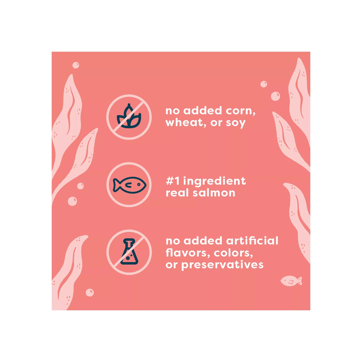 Viva La Kitty Paté - Salmón