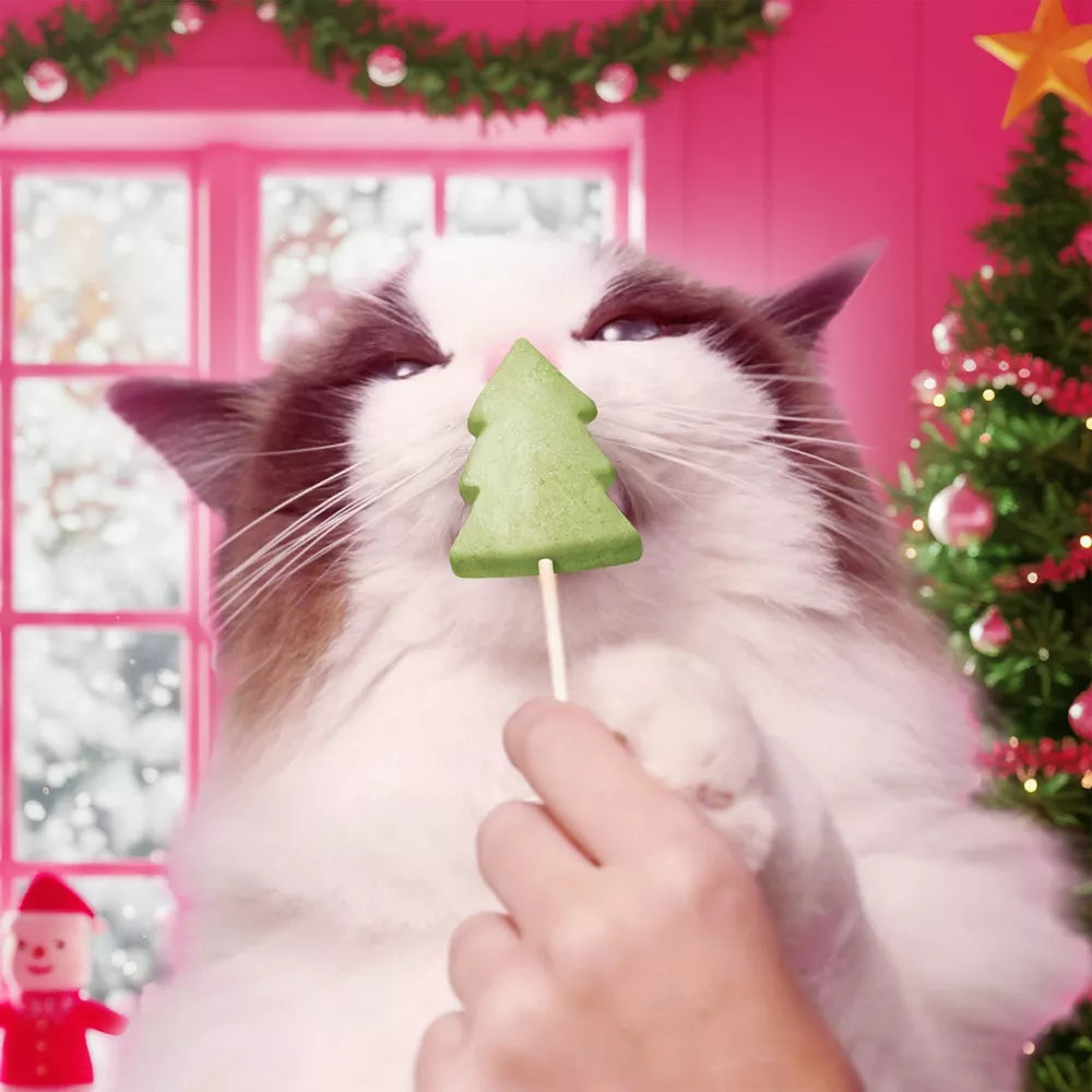 Bonkers Purrpops Holiday Pavo & Catnip- 5pk