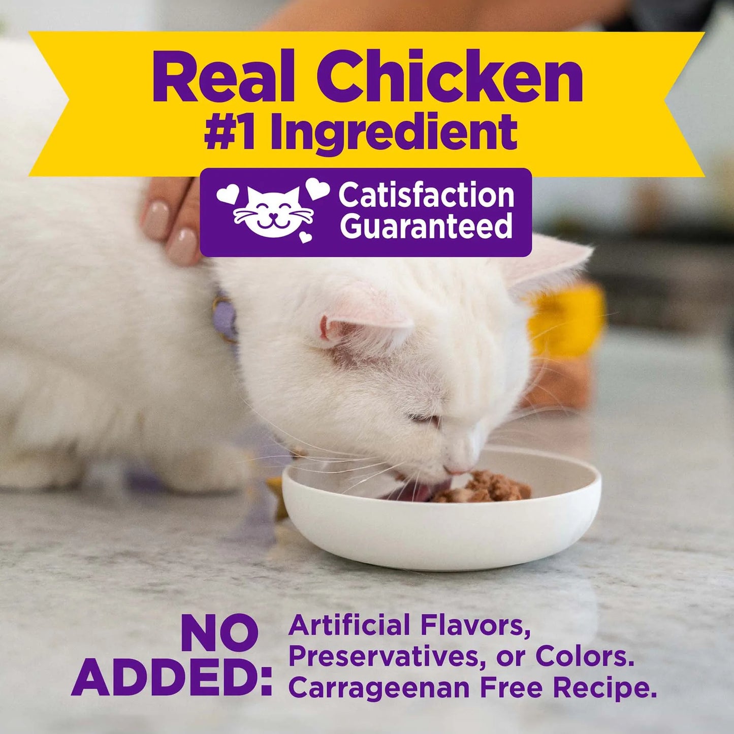 Wellness Appetizing Entrees Mousse - Pollo