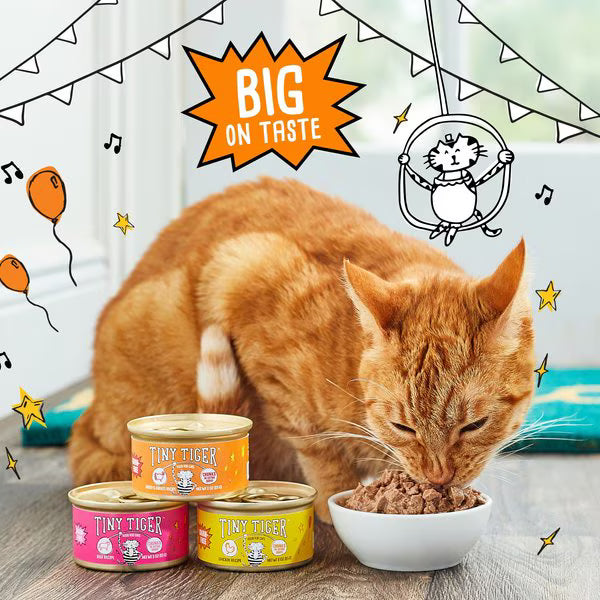 Comida húmeda Tiny Tiger Chunks in Extra Gravy sabor res para gatos – trocitos en salsa extra gravy con textura natural